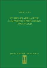 Studies in Afro-Asiatic Comparative Phonology: Consonants