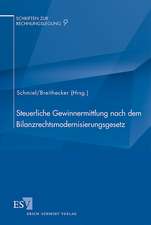 Steuerliche Gewinnermittlung nach dem Bilanzrechtsmodernisierungsgesetz