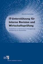 IT-Unterstützung für Interne Revision und Wirtschaftsprüfung