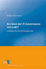 Revision der IT-Governance mit CoBiT