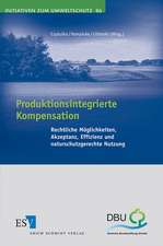 Produktionsintegrierte Kompensation