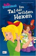 Bibi Blocksberg. Im Tal der wilden Hexen