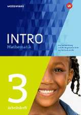 INTRO Mathematik SI. Arbeitsheft 3