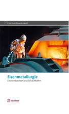 Eisenmetallurgie