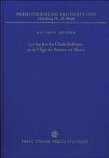 Les Haches Du Chalcolithique Et de L Age Du Bronze En Alsace