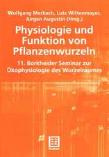 Physiologie und Funktion von Pflanzenwurzeln