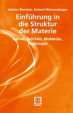 Einführung in die Struktur der Materie: Kerne, Teilchen, Moleküle, Festkörper