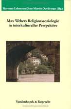 Max Webers Religionssoziologie in Interkultureller Perspektive: Reden Und Objekte Im Alltag (Oberrhein, 14.-16. Jahrhundert)