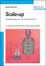 Scale–up – Modellübertragung in der Verfahrenstechnik 2e