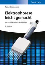 Elektrophorese leicht gemacht – Ein Praxisbuch für Anwender 2e