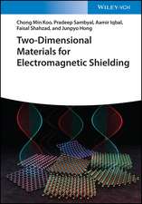 Two–Dimensional Materials for Electromagnetic Shielding