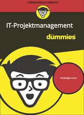 IT–Projektmanagement für Dummies