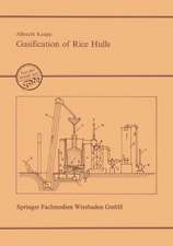 Gasification of Rice Hulls: Theory and Praxis