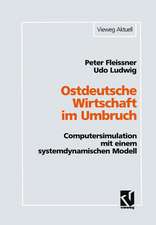 Ostdeutsche Wirtschaft im Umbruch: Computersimulation mit einem systemdynamischen Modell