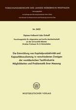 Die Entwicklung von Kapitalproduktivität und Kapazitätsauslastung in verschiedenen Zweigen der westdeutschen Textilindustrie Möglichkeiten und Problematik ihrer Messung