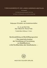 Berufsausbildung und Beschäftigungssystem: Eine empirische Analyse der Vermittlung und Verwendung von Qualifikationen in fünf Großbetrieben der Metallindustrie