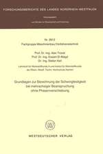 Grundlagen zur Berechnung der Schwingfestigkeit bei mehrachsiger Beanspruchung ohne Phasenverschiebung