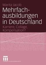 Mehrfachausbildungen in Deutschland: Karriere, Collage, Kompensation?