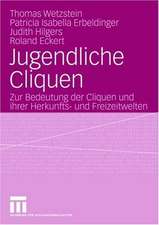 Jugendliche Cliquen: Zur Bedeutung der Cliquen und ihrer Herkunfts- und Freizeitwelten