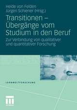 Transitionen - Übergänge vom Studium in den Beruf: Zur Verbindung von qualitativer und quantitativer Forschung