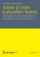 Arbeit in interkulturellen Teams: Erfolgsfaktoren mexikanisch-deutscher Konstellationen