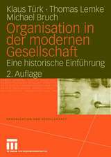 Organisation in der modernen Gesellschaft: Eine historische Einführung