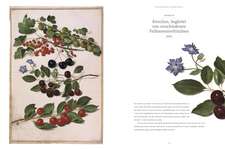 Das Florilegium von Nassau-Idstein