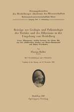 Beiträge zur Geologie und Paläontologie des Tertiärs und des Diluviums in der Umgebung von Heidelberg: Ursus (Plionarctos) stehlini Kretzoi, der kleine Bär aus den altdiluvialen Sanden von Mauer-Bammental und Mainz-Wiesbaden