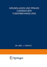 Grundlagen und Praxis Chemischer Tumorbehandlung: Zweites Freiburger Symposion an der Medizinischen Universitäts-Klinik vom 17. bis 19. Juli 1953