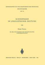 Schizophasie in Linguistischer Deutung