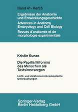 Die Papilla filiformis des Menschen als Tastsinnesorgan: Licht- und elektronenmikroskopische Untersuchungen