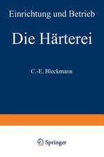 Die Härterei: Einrichtung und Betrieb