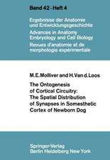 The Ontogenesis of Cortical Circuitry: The Spatial Distribution of Synapses in Somesthetic Cortex of Newborn Dog