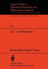 Steady State Capital Theory