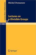 Lectures on p-Divisible Groups