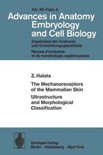 The Mechanoreceptors of the Mammalian Skin Ultrastructure and Morphological Classification: Ultrastructure and Morphological Classification