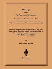 Bestimmung der Spezifischen Ozonzerstörungsrate über Buschsteppe und des Ozonflusses in diese OberflÄche mit Hilfe von Ozon- und Temperaturprofilmessungen an Einem 120m-Mast in Tsumeb/ S. W. A.