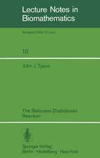 The Belousov-Zhabotinskii Reaction