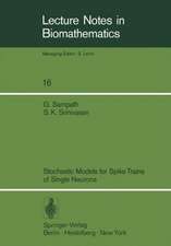 Stochastic Models for Spike Trains of Single Neurons