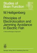 Principles of Electrolocation and Jamming Avoidance in Electric Fish: A Neuroethological Approach