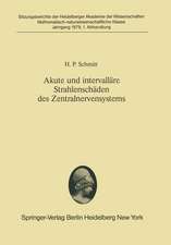 Akute und intervalläre Strahlenschäden des Zentralnervensystems: Morphologische Analyse der sogenannten Spätschäden vor dem Hintergrund der Wechselwirkung ionisierender Strahlen mit biologischen Systemen