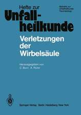 Verletzungen der Wirbelsäule: 13. Reisensburger Workshop zu Ehren von H. Willenegger 14.–16. Februar 1980