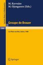 Groupe de Brauer: Seminaire, Les Plans-sur-Bex, Suisse, 1980