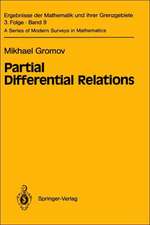 Partial Differential Relations