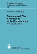 Structure and Fiber Connections of the Hippocampus: A Comparative Study