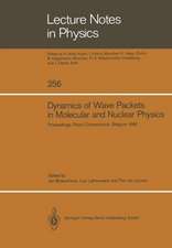 Dynamics of Wave Packets in Molecular and Nuclear Physics: Proceedings of the International Meeting Held in Priorij Corsendonck, Belgium July 2–4, 1985