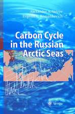 Carbon Cycle in the Russian Arctic Seas