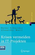 Krisen vermeiden in IT Projekten