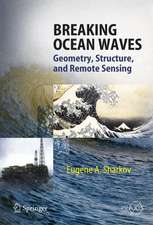 Breaking Ocean Waves: Geometry, Structure and Remote Sensing