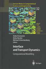 Interface and Transport Dynamics: Computational Modelling